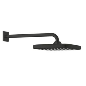 طاسه دش حائطي ٢٥ سم فانتوم بلاك مط جروهي